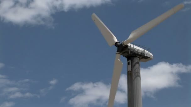 Wind turbine generates electricity — Stock Video