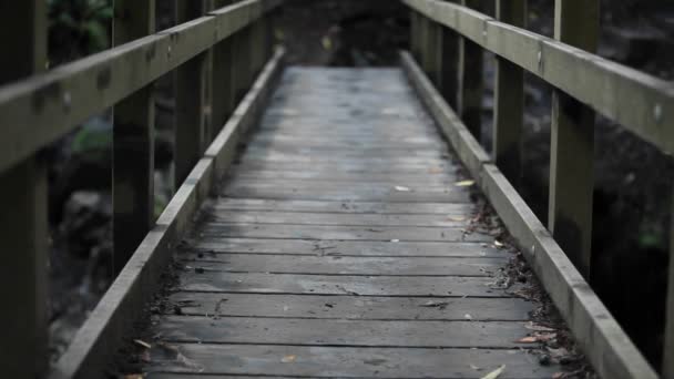 Člověk prochází přes dřevěný most — Stock video