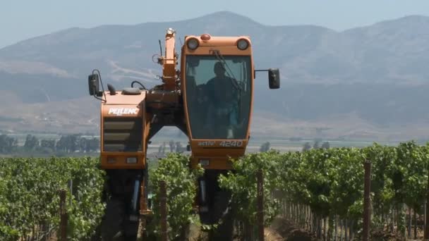 Механизированное возделывание виноградников — стоковое видео