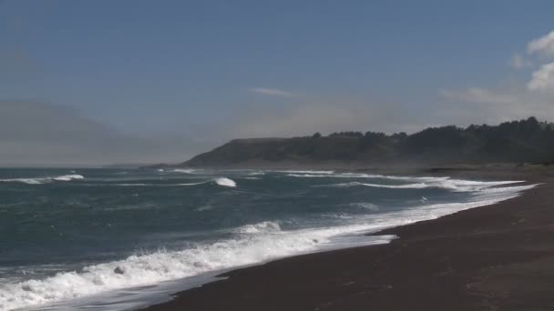 Surf sulla spiaggia di Buchepureo — Video Stock