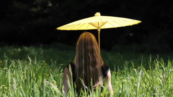 Een vrouw zit in een gras veld — Stockvideo