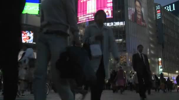 Verkeer en voetgangers in Tokio — Stockvideo