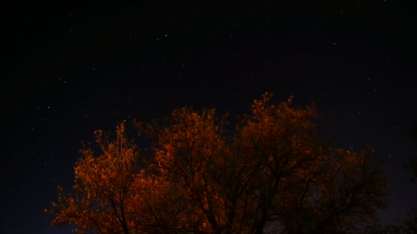 Estrellas moviéndose a través del cielo — Vídeo de stock