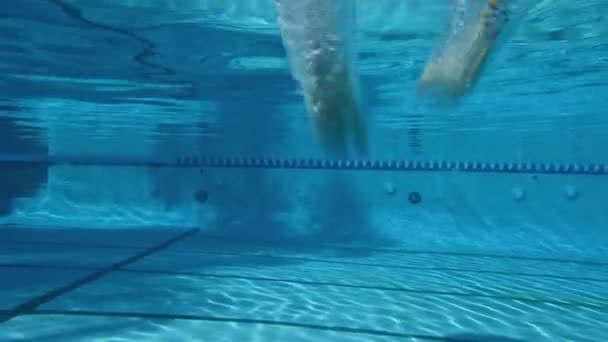 Girl jumping into a pool — Stock Video