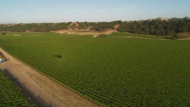 Uitzicht op de groene heuvels — Stockvideo