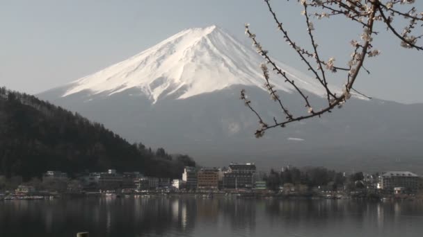 Mt. Fuji reflejado en el lago Kawaguchi — Vídeos de Stock