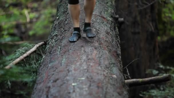 Eine Frau geht über einen umgestürzten Baumstamm — Stockvideo