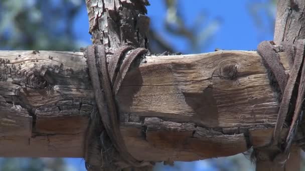 Leather joinery on a wooden gate — Stock Video