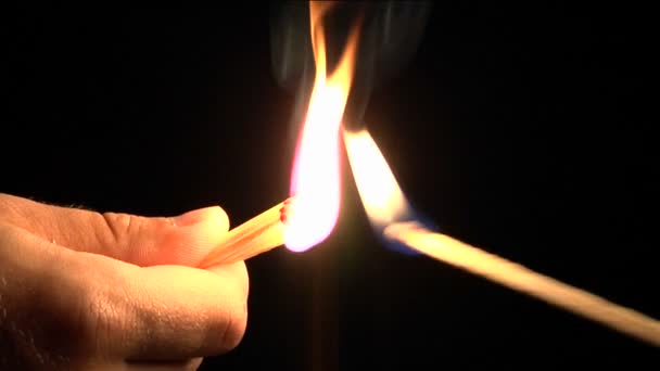 Match verlichting een groep van wedstrijden — Stockvideo