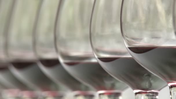 Fila di bicchieri di vino — Video Stock