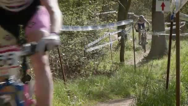 Um grupo de ciclistas de montanha correm por uma trilha de cursos . — Vídeo de Stock