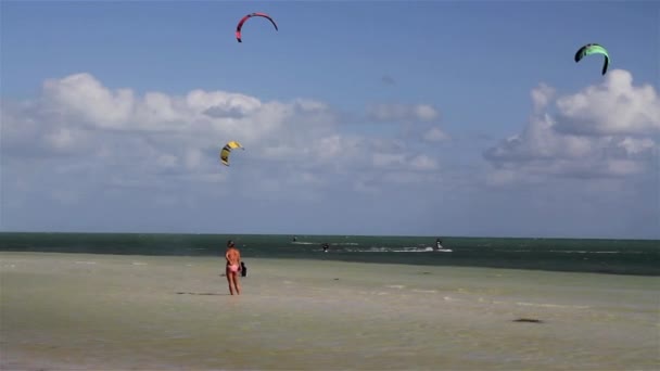 Mensen engage in sport kite boarding langs een kust — Stockvideo