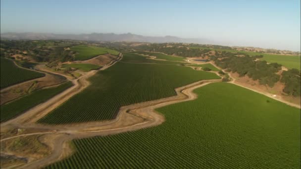 Uitzicht op de groene heuvels — Stockvideo