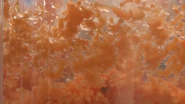 Wortelen in een food processor — Stockvideo