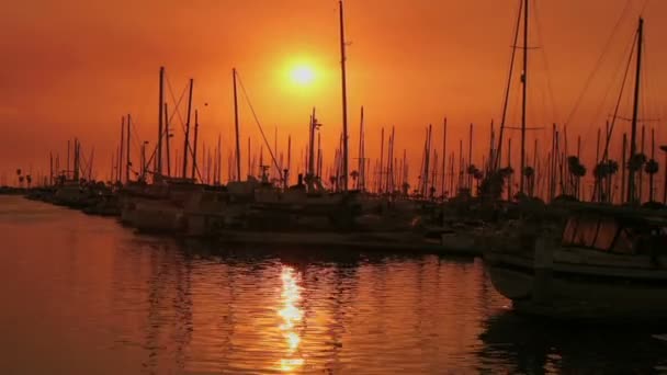 Un port reflète la lumière du soleil — Video