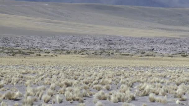 贫瘠的火山峰 — 图库视频影像