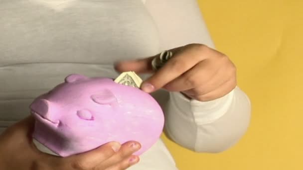 Una mujer pone billetes de dólar — Vídeo de stock