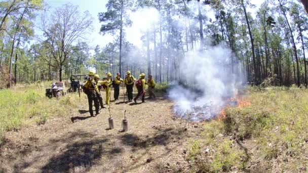 Miembros del equipo de bomberos iniciando un fuego de prueba — Vídeos de Stock