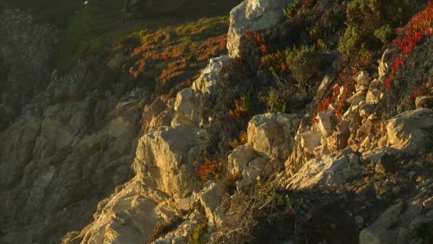 Línea costera rocosa Big Sur — Vídeos de Stock