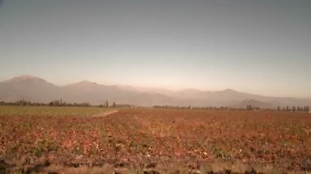 Vue depuis un train de la vallée centrale — Video