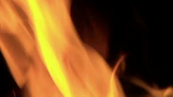 Flammen flackern in loderndem Feuer — Stockvideo