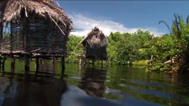 Соломенные крыши домов на сваях стоят в тропической речной области . — стоковое видео