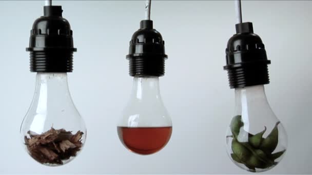 Light bulbs containing — Stock Video