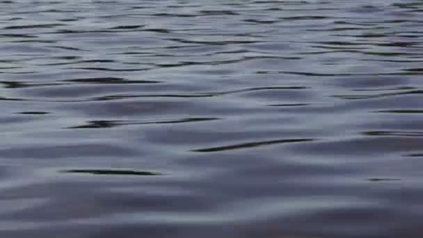 Рухома поверхня океану — стокове відео
