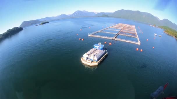 Chilean fish farms — Stock Video