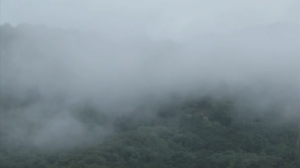 Nebel zieht über — Stockvideo