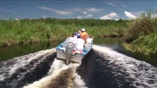 A tourist motorboat  travels through a wetland river area — Stock Video