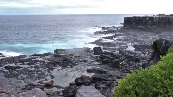 Vagues d'eau salée se brisant sur les falaises — Video