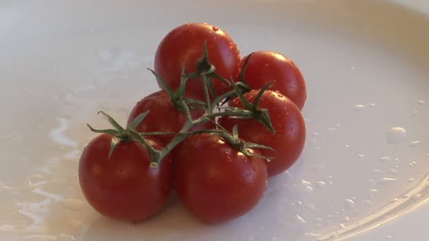 Rijpe tomaten op een witte plaat — Stockvideo