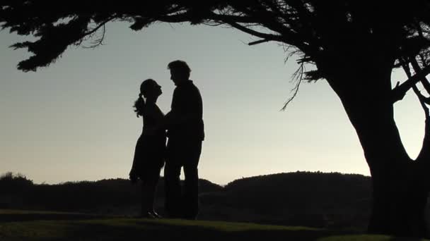 Hombre y mujer abrazan bajo un árbol — Vídeos de Stock