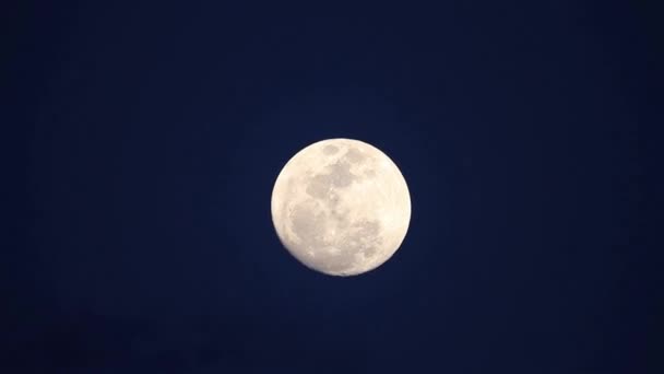 Ein Vollmond geht auf — Stockvideo