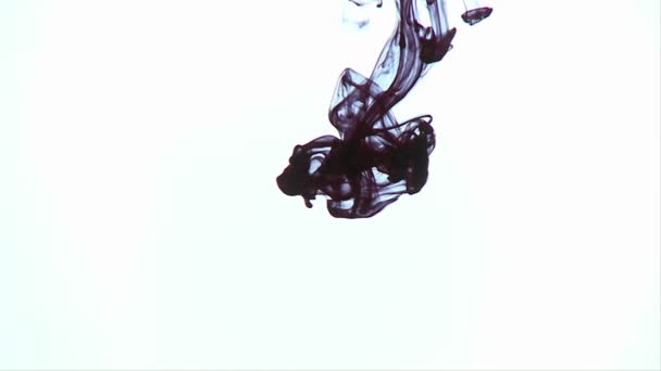 A dark colored ink is poured into a liquid — Stock Video