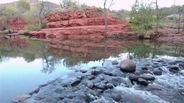 Vatten som rinner i våt Creek — Stockvideo