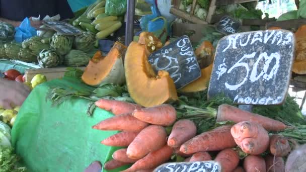 Produzir para venda num mercado de agricultores — Vídeo de Stock