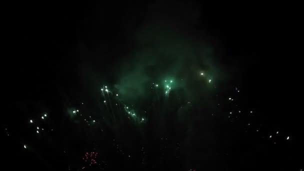 Espectáculo de fuegos artificiales por la noche — Vídeo de stock
