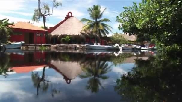 Upscale boats tied in docks in a wetland river area. — Stock Video