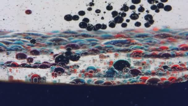 Drops of oil float on a white surface — Stock Video