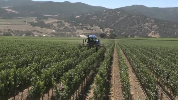 Машина обрізка виноградник — стокове відео