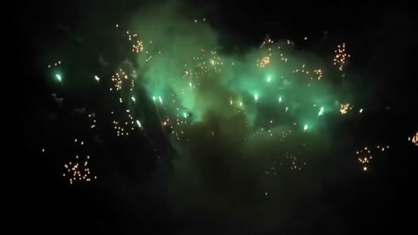 Spectacle de feux d'artifice la nuit — Video