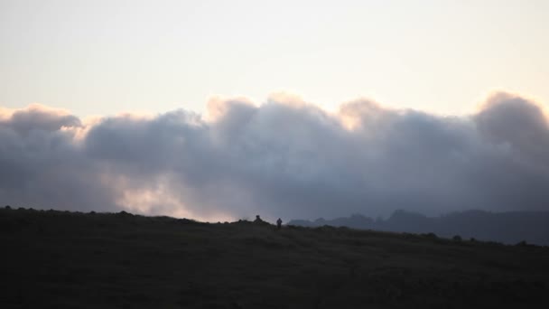 Une personne marche sur une colline herbeuse — Video