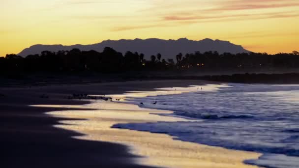 Vlny tříštící se podél pláže San Buenaventura — Stock video