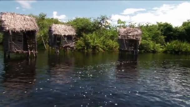 Des maisons au toit de chaume sur pilotis se dressent dans une région fluviale tropicale — Video