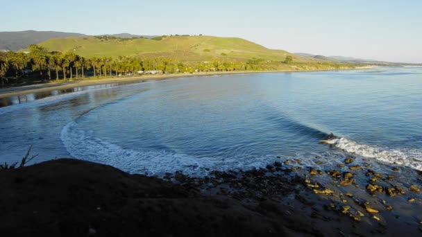 Un surfeur solitaire attrape une vague — Video