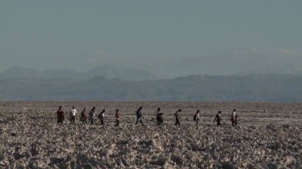 Turisti alla Laguna Chaxa — Video Stock