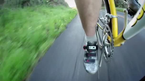 A bicyclist rides down a road. — Stock Video