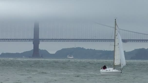 En segelbåt seglar utmed kusten på en blåsig dag — Stockvideo